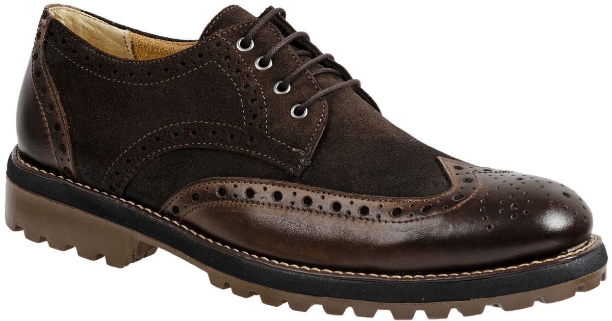 Sandro Moscoloni Wingtip Brogue Derby In Brown For Men Lyst