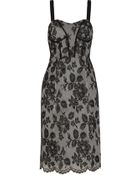 Jill Stuart Kasey Lace-Appliquã©D Tulle Dress - Lyst
