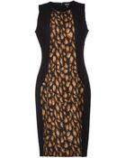 DKNY Paneled Leopard-Print Silk-Blend Dress - Lyst