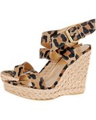 Stuart Weitzman For Scoop Exclusive Leopard Wrap Wedge - Lyst