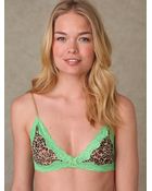 Free People Leopard Bralette - Lyst
