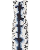 Oscar de la Renta Printed Silk Shift Dress - Lyst