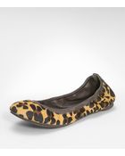 Tory Burch Leopard Eddie Ballet Flat - Lyst