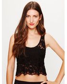 Free People Daisy Embroidered Mesh Crop Top - Lyst
