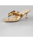 Manolo Blahnik Cesaremp Flower Thong Sandal - Lyst