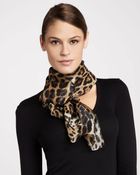 Roberto Cavalli Leopardprint Chiffon Stole - Lyst