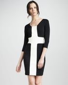 Robert Rodriguez Fitted Contrast Dress - Lyst