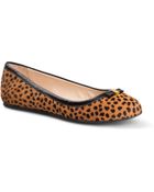 C. Wonder Leopard Print Bow Ballet Flat - Lyst