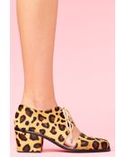 Nasty Gal Split Brogue Boot Leopard Pony - Lyst