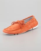 Just Cavalli Suede Driving Shoe - Lyst