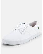 Lacoste Lacoste Andover Mens Plimsolls - Lyst
