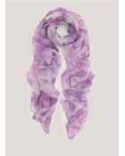 McQ by Alexander McQueen Iris Print Silk Scarf - Lyst