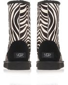 Ugg Classic Short Zebraprint Sheepskin Boots - Lyst