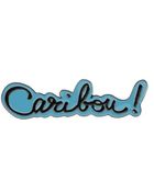 Carven Pins - Lyst
