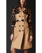 Burberry Mink Gabardine Trench Coat - Lyst