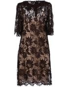 Dolce & Gabbana Round Collar Lace Dark Brown Short Dress - Lyst