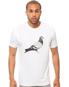Staple The Og Pigeon Sport Tee - Lyst