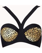 Forever 21 Wild Thing Push-Up Bikini Top - Lyst