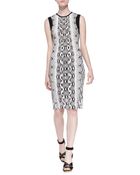 Roberto Cavalli Python-print Dress W Contrast Trim - Lyst