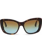 Miu Miu Havana Butterfly Sunglasses Mu03o Havana - Lyst