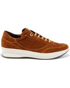 Salvatore Ferragamo Low Top Sneaker - Lyst