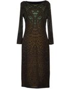 Roberto Cavalli Kneelength Dress - Lyst