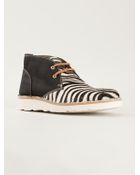DSquared2 Zebra Shoes - Lyst