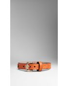 Burberry Buckle Detail Leather Bracelet - Lyst
