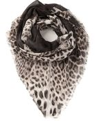 Roberto Cavalli Leopard Print Scarf - Lyst
