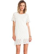 Blaque Label Dress - Lyst