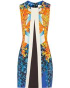 Peter Pilotto Aureta Printed Woven Dress - Lyst