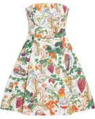 Matthew Williamson Printed Cotton-Blend Mini Dress - Lyst