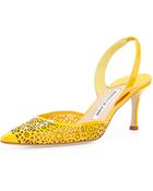 Manolo Blahnik Carolyne Laser-Cut Slingback Pump - Lyst
