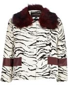 River Island Cream Zebra Print Faux Fur Jacket - Lyst