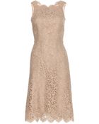 Dolce & Gabbana Lace Dress - Lyst