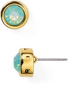 T Tahari Small Circle Stud Earrings - Lyst