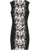 Nicole Miller Quinn Ghost Flower Dress - Lyst