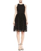 Milly Stella Lace & Ponte Sleeveless Cocktail Dress - Lyst
