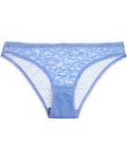 Stella McCartney Eloise Stretching Stretch-Lace And Tulle Briefs - Lyst