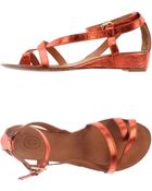 Ash Thong Sandal - Lyst