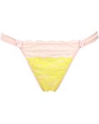 Mimi Holliday By Damaris Two Tone Nylon Lace Thong - Lyst