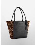 Calvin Klein White Label Saffiano Leather + Faux Leopard Large Winged Tote Bag - Lyst