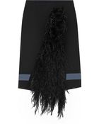 Emanuel Ungaro Feather-Paneled Crepe Skirt - Lyst