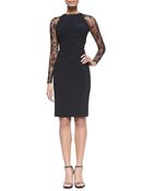 Elie Saab Sheath Dress with Long Lace Sleeves - Lyst