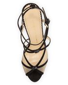 Charlotte Olympia Isadora Strappy Suede Sandal - Lyst