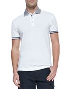 Robert Graham Axel Stripecollar Pique Polo - Lyst