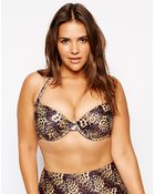 Asos Curve Underwire Bikini Top In Leopard Print - Lyst