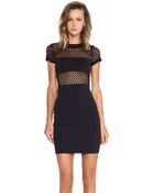 Donna Mizani Banded Fitted Mini Dress - Lyst