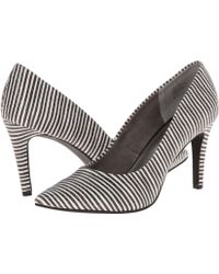 Seychelles Frequency - Lyst