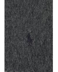 Ralph Lauren Blue Label Grey Cashmere Scarf - Lyst